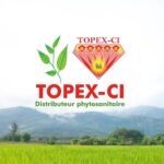 Fournisseurs de produits vivriers Grossiste en denrées alimentaires Importation de produits alimentaires Exportation de vivriers Distribution de denrées alimentaires Commerce agroalimentaire Produits agricoles en gros